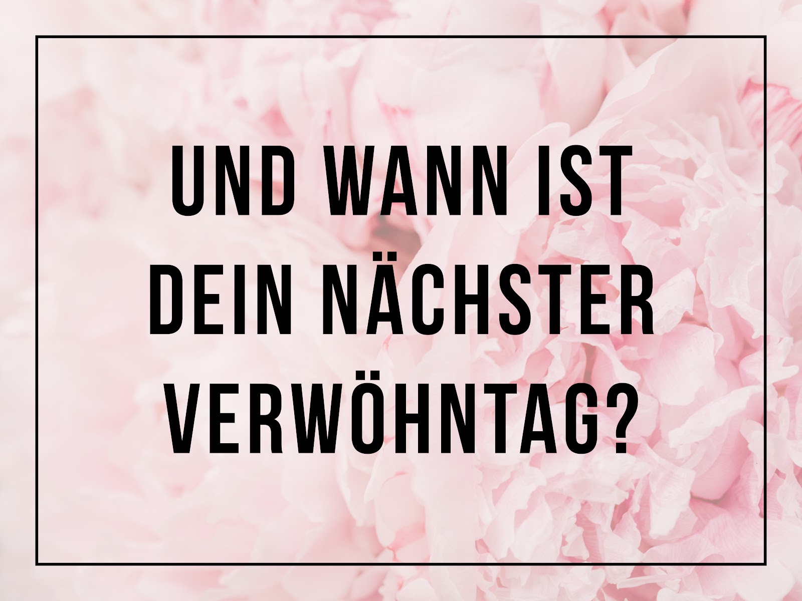 Sofia's Beautysalon – Einblick in den Salon